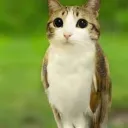 xx_eltumbaburros3000_41272 avatar