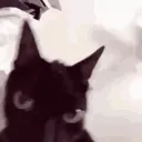 the._black_.one