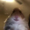 Аватар sasha288332