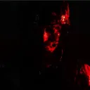 .liz.ar.d.