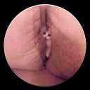 horasek
