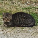 avocado097682's Avatar