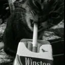 erich.222_53728 avatar