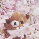 avatar nini ౨ৎ˚₊