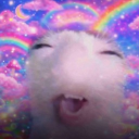 avatar nini ౨ৎ˚₊