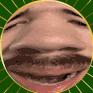 zingerz