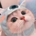 fan_kpop_27th5 avatar