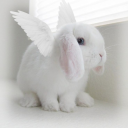 avatar dolly bw ݁ ˖Ი𐑼⋆