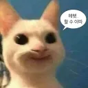 mang_tae