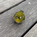 りょう