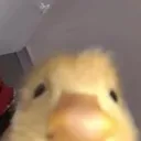 mrcookieyoutube