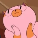 _laurentheraccoon_