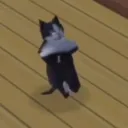 Аватар maks.5218