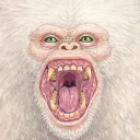 coopleaderofapes