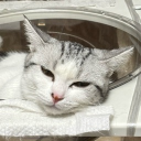 pudding2769470's Avatar