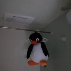 画像なし