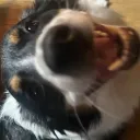 mcphattypants