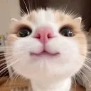 slimestore_2008 avatar