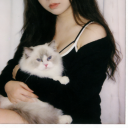 avatar 𝟤𝟤ʙ•ᴗ•