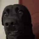 coolguyrbryt