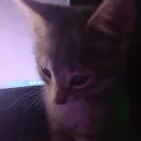 Аватар zhuizhildanil.