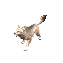 o0e6