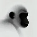 q0ym