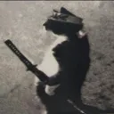 tilinazo777700 avatar