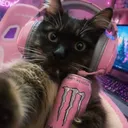 srtananna