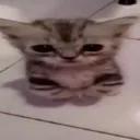 srthuuravs