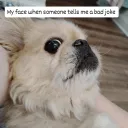 nextjen0