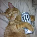 grumphy.exe_27515 avatar