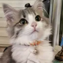 annttelovesace_2018