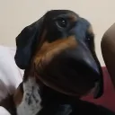 valen_123cocoxd avatar