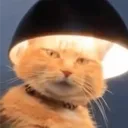 bedwarsninja54