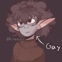 niko_53836377