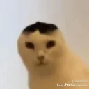 rekkuza