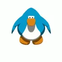 kalilay77sigma avatar