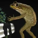 legendary_xavier_25549 avatar