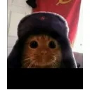 gatowaton037_40788 avatar