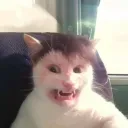 i_matod_46747