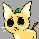 sherry_starry