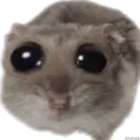 capyfish03739 avatar