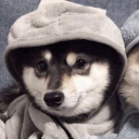 ethanisamazingwow#0 avatar