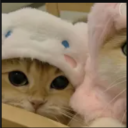 iamagoofyhead