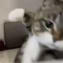 auqlixr