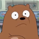 Community Member Avatar