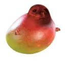 papu23_2.0