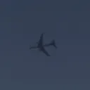 t._____