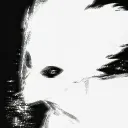 xskqzi.